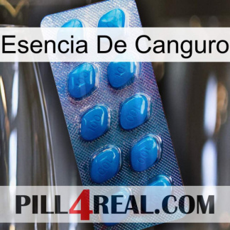 Kangaroo Essence viagra1